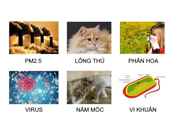 Bộ lọc HEPA có thể lọc rất nhiều thứ