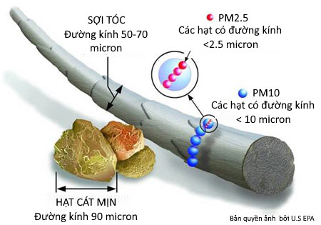 So sánh kích thước các hạt
