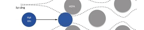 Các hạt lớn bị giữ lại bởi màng lọc HEPA