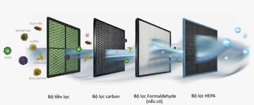 Các lớp lọc chính của máy lọc không khí: tiền lọc, carbon và HEPA