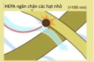 Các sợi trong màng lọc HEPA ngăn chặn các hạt nhỏ
