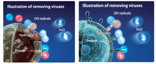 Minh họa cách máy lọc không khí Sharp tiêu diệt virus và vi khuẩn